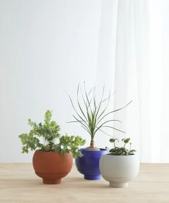 Lulu And Georgia Sutton Self-Watering Planter By Greenery Unlimited New 3 Lulu And Georgia Sutton Self-Watering Planter By Greenery Unlimited New
