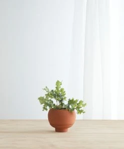 Lulu And Georgia Sutton Self-Watering Planter By Greenery Unlimited