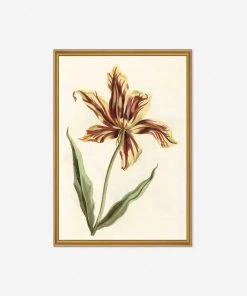 Lulu And Georgia 'Tulip' Print