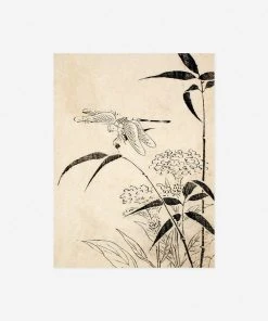 Lulu And Georgia 'Dragonfly, Coxcomb And Bamboo' Print By Miyazaki Yūzen