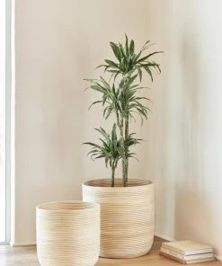 Lulu And Georgia Nimah Baskets (Set Of 2)