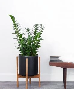 Lulu And Georgia LBE Design Ceramic Planter + Teak Stand 5 Lulu And Georgia LBE Design Ceramic Planter + Teak Stand