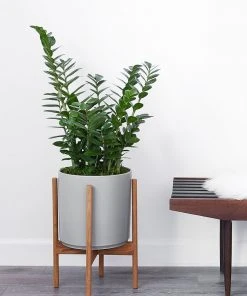Lulu And Georgia LBE Design Ceramic Planter + Teak Stand 2 Lulu And Georgia LBE Design Ceramic Planter + Teak Stand