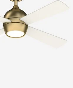 Lulu And Georgia Lighting Indi Ceiling Fan + Light