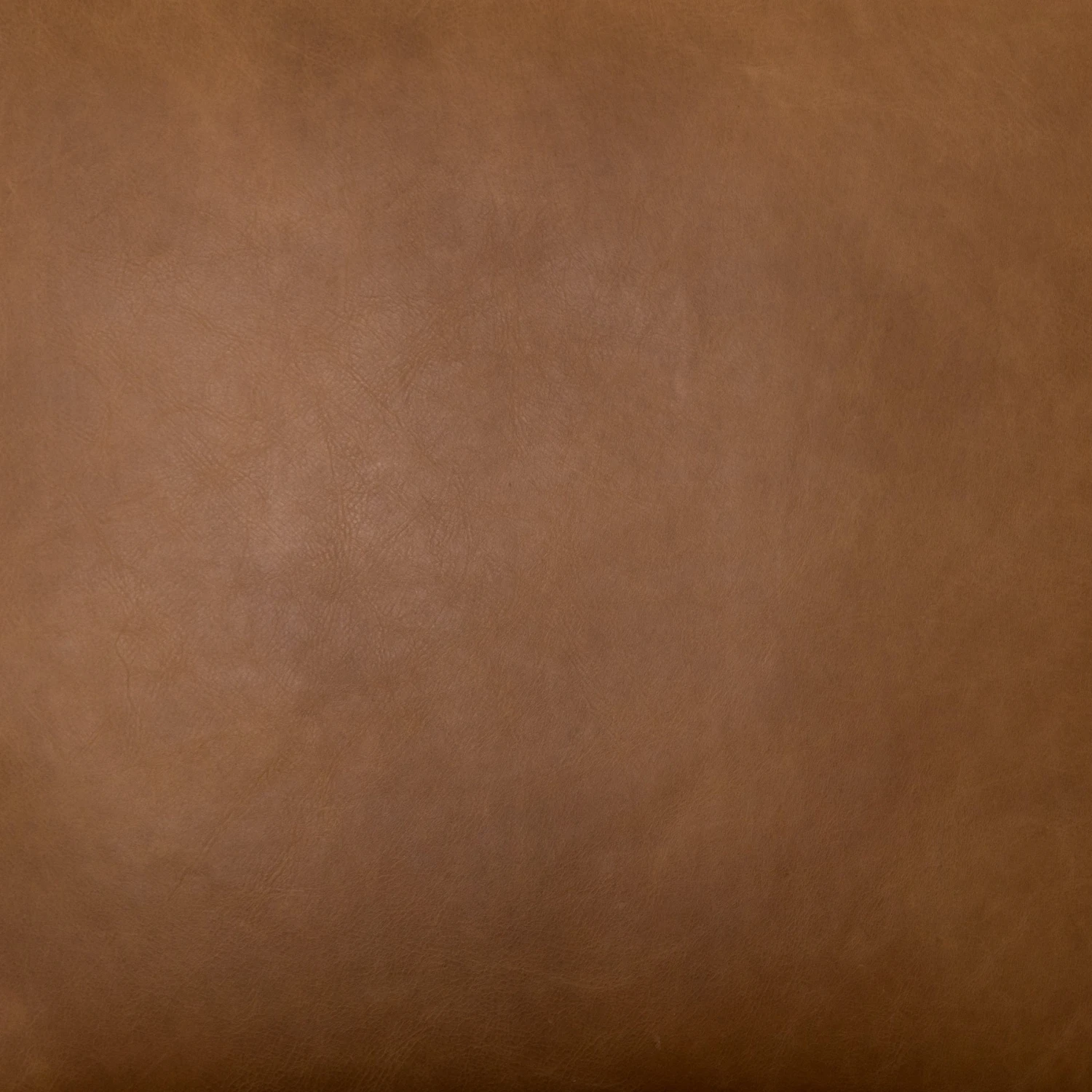 kenneth-chair-copper_11.jpg Lulu And Georgia Furniture Kenneth Leather Chair