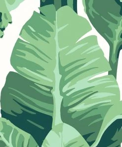 Lulu And Georgia Pacifico Palm Peel + Stick Wallpaper By Nathan Turner 12 Lulu And Georgia Pacifico Palm Peel + Stick Wallpaper By Nathan Turner