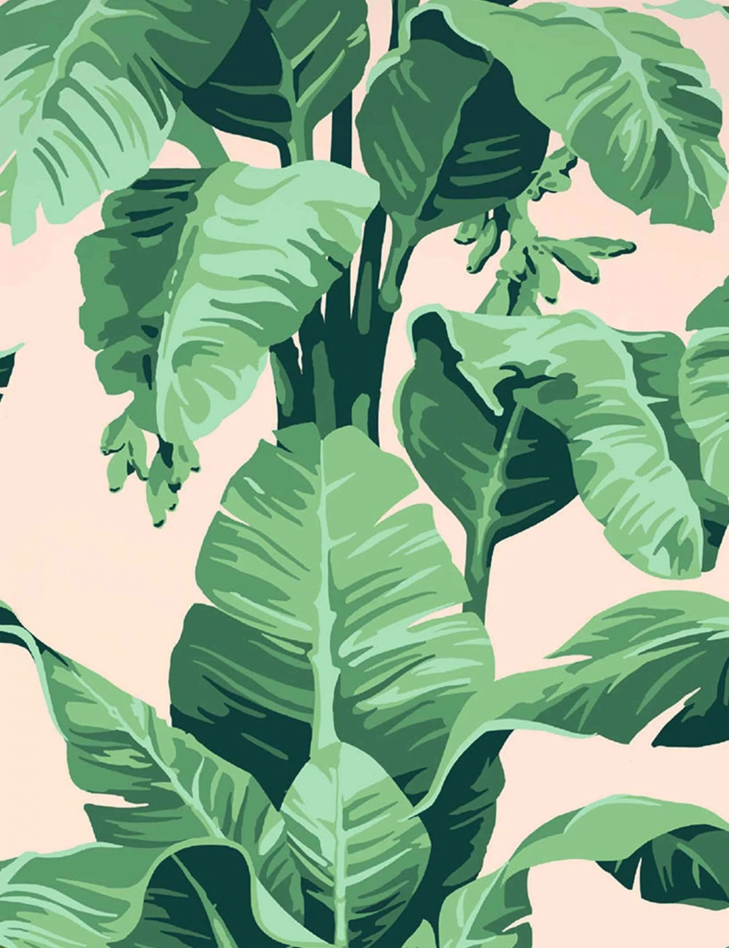 pacifico-palm-peach-sized-2.jpg Lulu And Georgia Pacifico Palm Peel + Stick Wallpaper By Nathan Turner