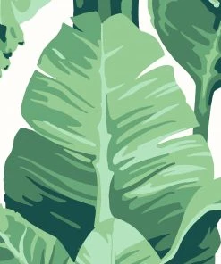 Lulu And Georgia Pacifico Palm Peel + Stick Wallpaper By Nathan Turner 15 Lulu And Georgia Pacifico Palm Peel + Stick Wallpaper By Nathan Turner