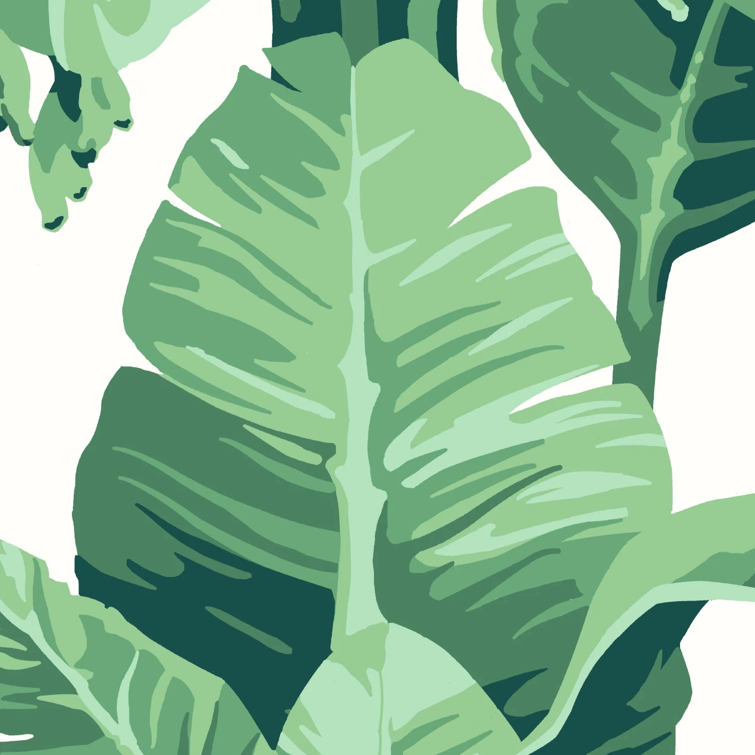 pacifico-palm-wallpaper-by-nathan-turner-ivory-1.jpg Lulu And Georgia Pacifico Palm Peel + Stick Wallpaper By Nathan Turner