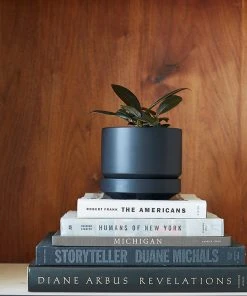 Lulu And Georgia LBE Design Ceramic Indoor / Outdoor Planter 9 Lulu And Georgia LBE Design Ceramic Indoor / Outdoor Planter