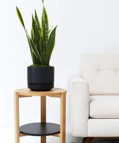 Lulu And Georgia LBE Design Ceramic Indoor / Outdoor Planter 10 Lulu And Georgia LBE Design Ceramic Indoor / Outdoor Planter