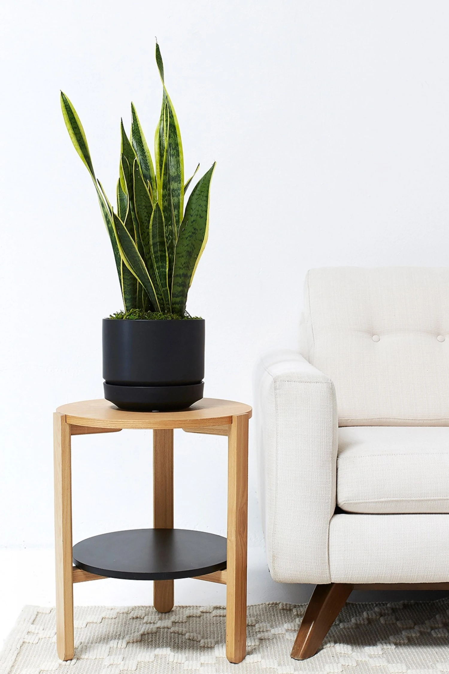 r2-8-blk_91bc0947-2d53-4a50-a3ba-aa2b124ccc61.jpg Lulu And Georgia LBE Design Ceramic Indoor / Outdoor Planter