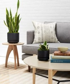 Lulu And Georgia LBE Design Ceramic Indoor / Outdoor Planter 11 Lulu And Georgia LBE Design Ceramic Indoor / Outdoor Planter