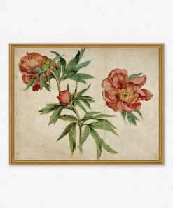 Lulu And Georgia 'Studies Of Peonies' Wall Art By Martin Schongauer, Original Work Held By The J. Paul Getty Museum