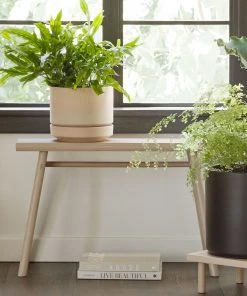 Lulu And Georgia LBE Design Ceramic Indoor / Outdoor Planter 7 Lulu And Georgia LBE Design Ceramic Indoor / Outdoor Planter