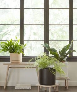 Lulu And Georgia LBE Design Ceramic Planter Décor